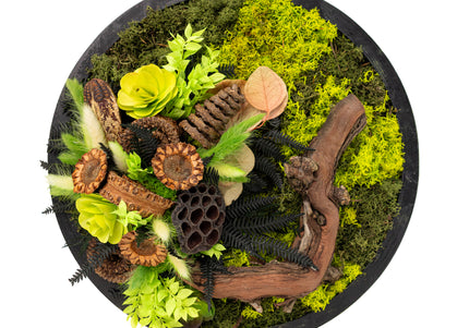 Tablou Biophilic Circular „Emerald Orb” – Panou Decorativ Handmade cu Mușchi, Licheni și Relief de Pădure