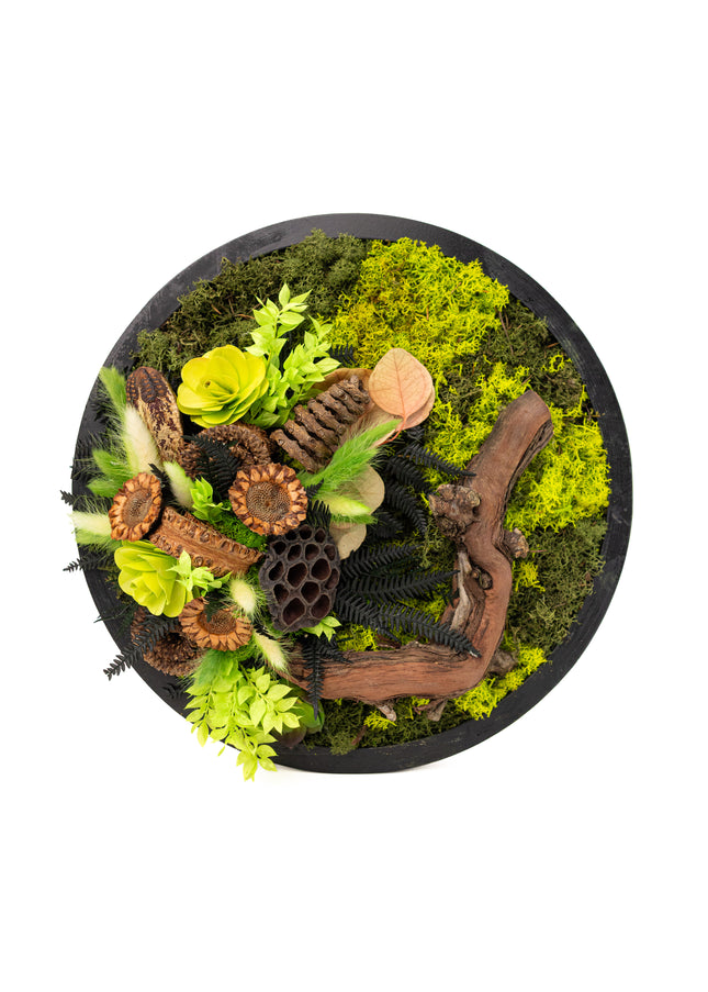 Tablou Biophilic Circular „Emerald Orb” – Panou Decorativ Handmade cu Mușchi, Licheni și Relief de Pădure