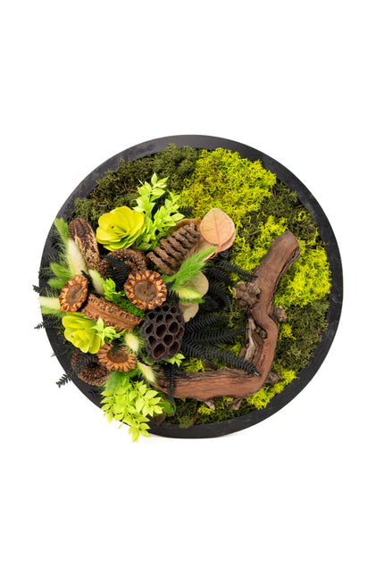 Tablou Biophilic Circular „Emerald Orb” – Panou Decorativ Handmade cu Mușchi, Licheni și Relief de Pădure