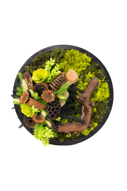 Tablou Biophilic Circular „Emerald Orb” – Panou Decorativ Handmade cu Mușchi, Licheni și Relief de Pădure
