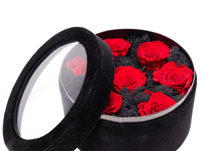 Aranjament Lux 7 Trandafiri Criogenați Roșii, Cutie Catifea Neagră