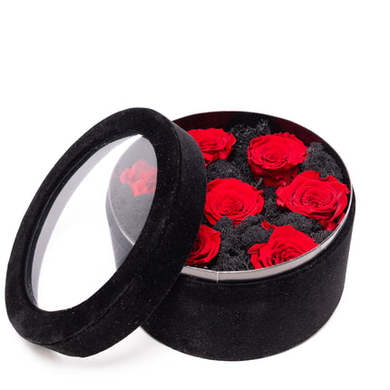 Aranjament Lux 5 Trandafiri Criogenați Roșii, Cutie Catifea Neagră