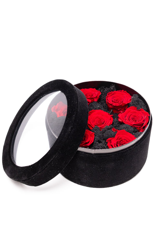 Aranjament Lux 5 Trandafiri Criogenați Roșii, Cutie Catifea Neagră