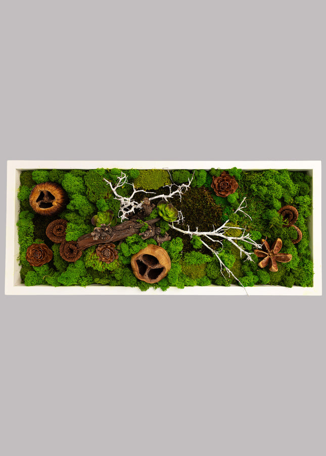 Tablou Biophilic „Forest Moss Panorama” – Panou Decorativ Handmade cu Mușchi, Licheni Stabilizați și Elemente de Pădure
