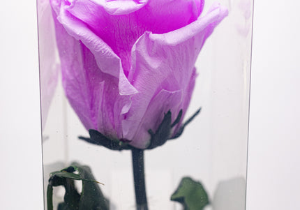 Aranjament de Lux "Amethyst Muse" cu Trandafir pe Tulpină