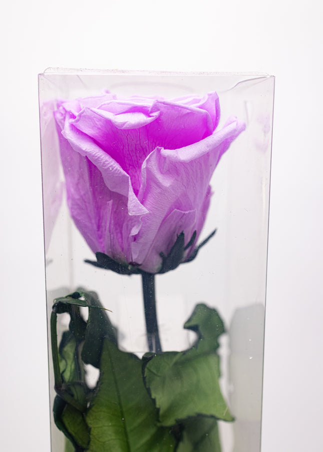 Aranjament de Lux "Amethyst Muse" cu Trandafir pe Tulpină