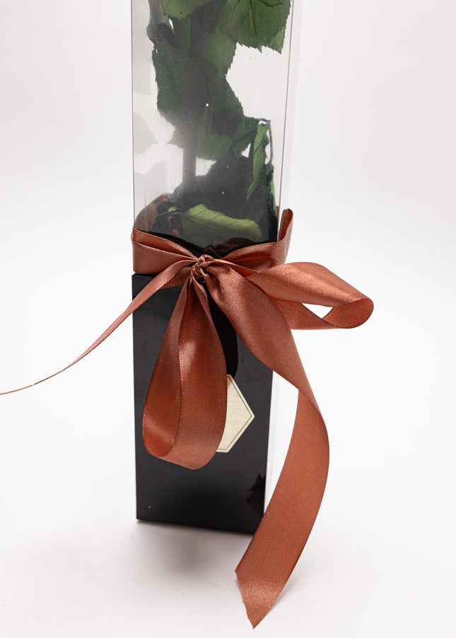 Aranjament de Lux "Ivory Muse" cu Trandafir pe Tulpină