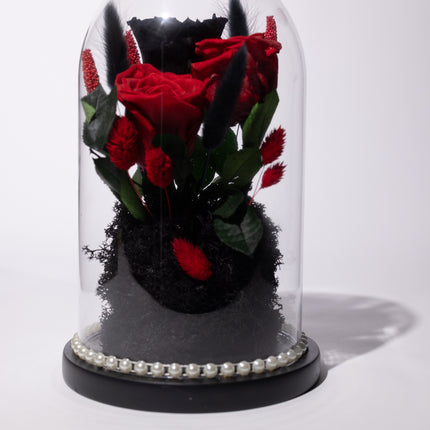 Cupolă Lux 3 Trandafiri Criogenați (Roșu & Negru) cu Perle