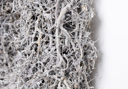 Coroniță Sculpturală „Silver Bonsai” – Piesă de Design Handmade din Rădăcini Naturale de Bonsai