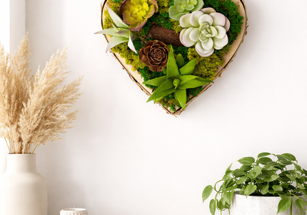 Tablou decorativ „Green Heart Petite” – inimă cu suculente și mușchi stabilizat