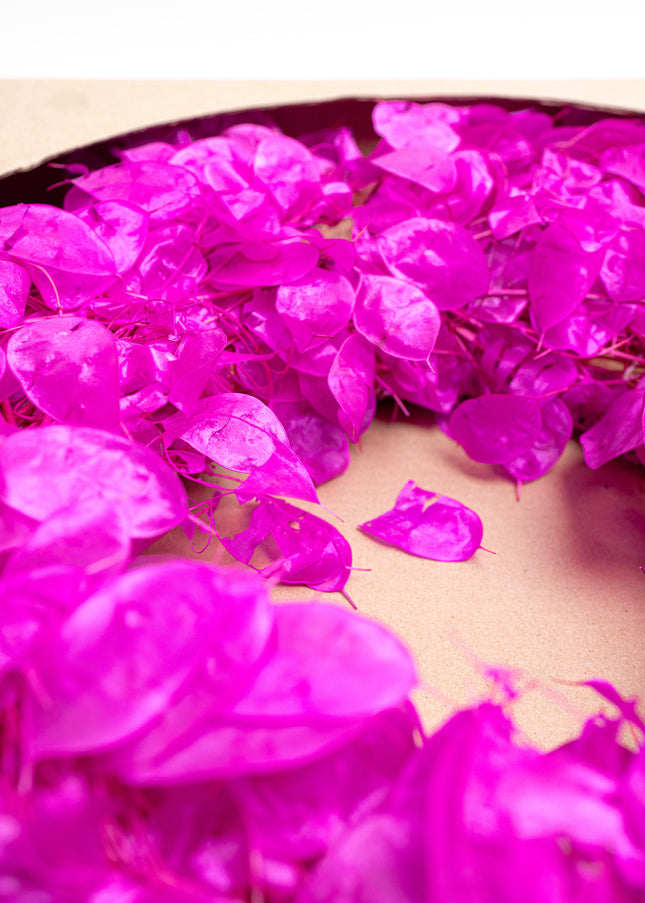 Coroniță Decorativă Lunaria Fucsia – Aranjament din Plante Naturale Uscate, Magenta Vibrant