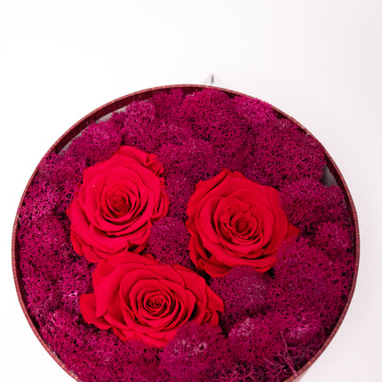 Aranjament Lux 3 Trandafiri Criogenați Roșii, Cutie cu Fereastră