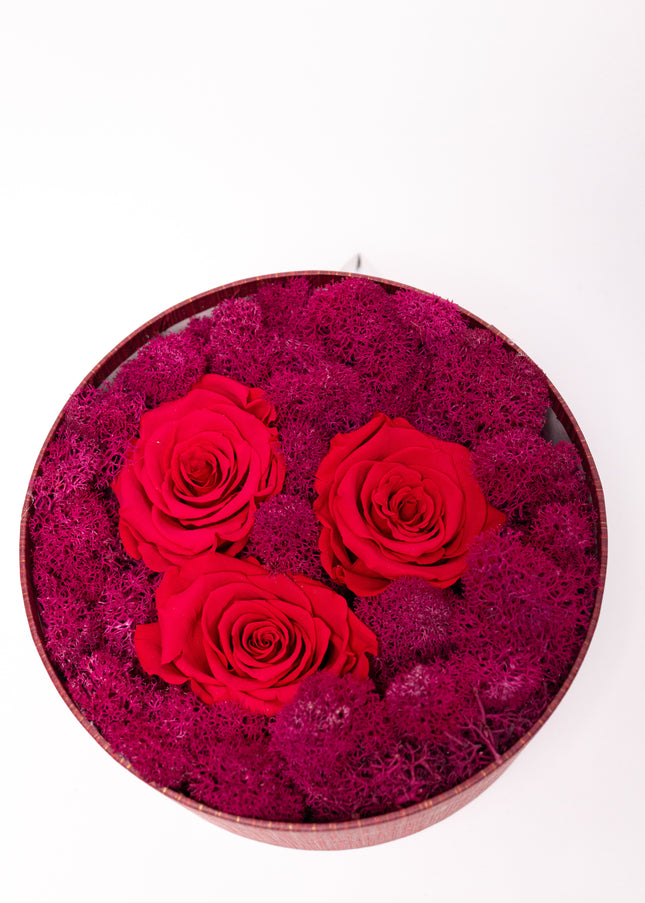 Aranjament Lux 3 Trandafiri Criogenați Roșii, Cutie cu Fereastră