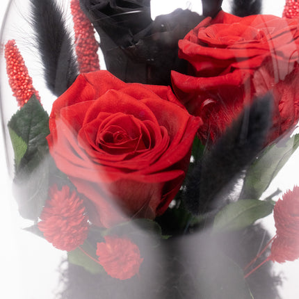 Cupolă Lux 3 Trandafiri Criogenați (Roșu & Negru) cu Perle