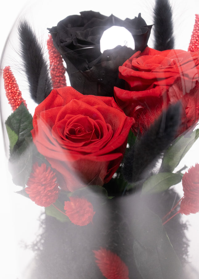 Cupolă Lux 3 Trandafiri Criogenați (Roșu & Negru) cu Perle